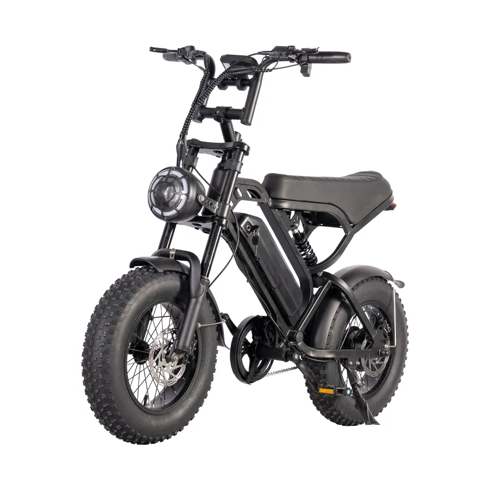 Minibike V20